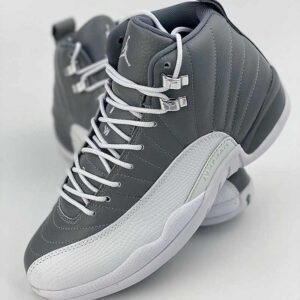 Jordan retro 12 gris